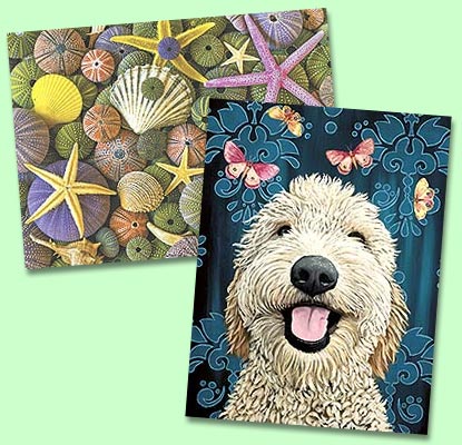 Blank Cards with Colorful Envelopes | Leanin&#039; Tree