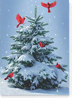 Wildlife Christmas Card